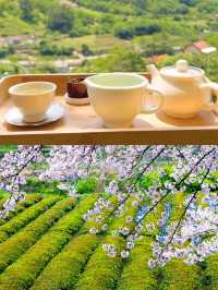 韓國河東郡