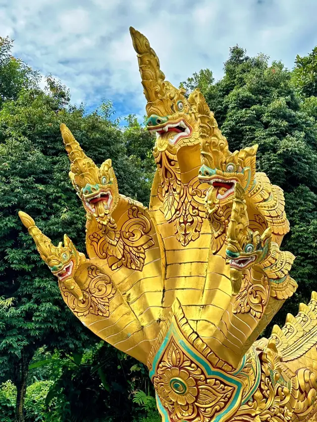 6일간의 바오산-더홍 여행 초상세 가이드로 두 지역을 쉽게 즐기세요