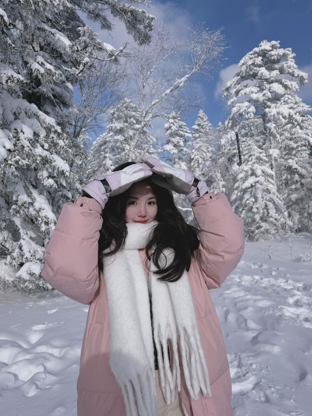 北國的冬｜哈爾濱長白山旅行｜長白山|||