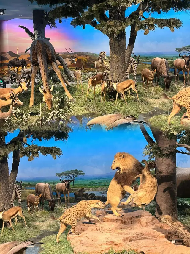 走進國家自然博物館，解鎖萬物進化密碼