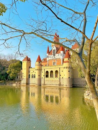 A must-see... Disney castle from a fairy tale