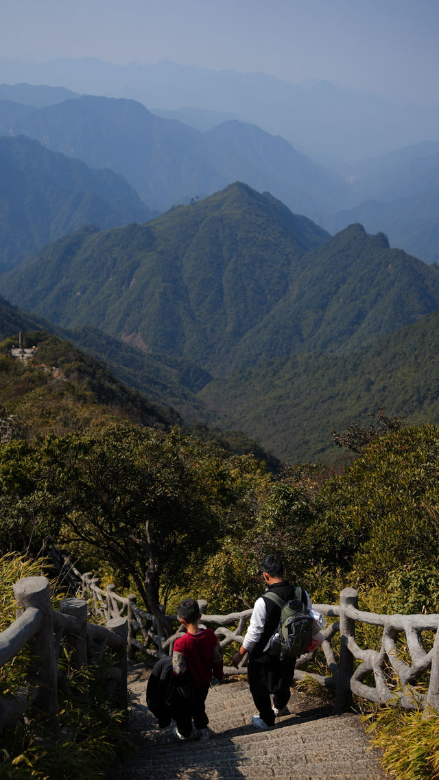 郴州莽山｜可以坐電梯的高山