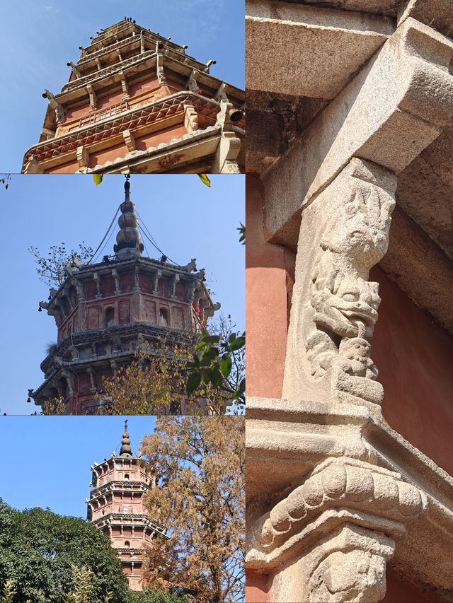 武漢旅遊 | 來寶通禪寺拜拜可以順道吸個貓