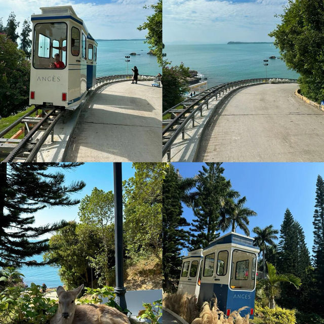 深圳看海攻略 | 搭一趟海邊小火車，邂逅浪漫瞬間👋🐳