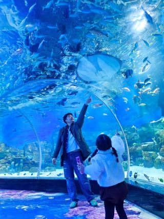 (Shunde) Weekend at the Cubic Ocean Park