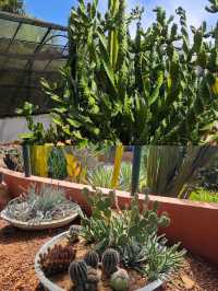 探索斯里蘭卡漢班托特乾區植物園：赤道上的綠色奇蹟