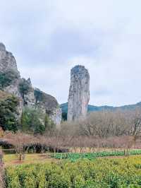鼎湖峰 這裡有「天下第一筍」 還可以看軒轅祭典哦