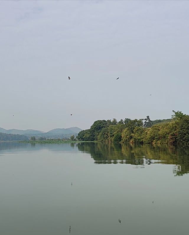 湖北孝感天紫湖