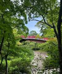 漫步新潟彌彦神社｜邂逅清新雅致的東瀛風情