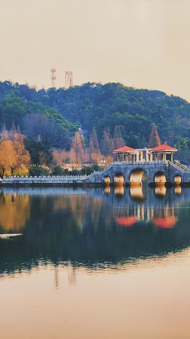 《秀峰公園：益陽的璀璨明珠》