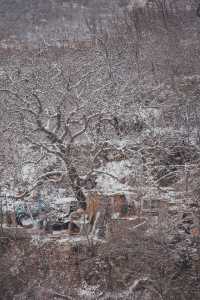 薊州盤山 | 山谷私湯小院，靜候一場初雪