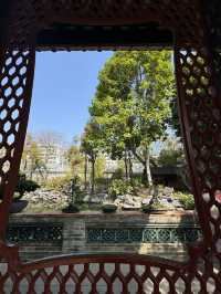 梁園結良緣，在佛山逛園子迎接春天