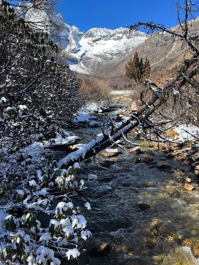 春節到快來理縣體驗3天不重複的旅行