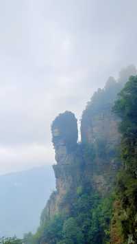 "大瑤山盤王界：這裡的雲海和佛光，真的能讓你震撼嗎？"
