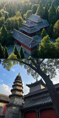 濟南旅遊攻略：泉城探秘，感受北方江南