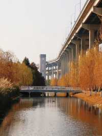 恩施3日遊 帶娃出遊全攻略必收藏