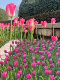 撫州·三翁花園 免費打卡的小眾寶藏公園