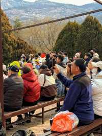 青島森林野生動物園 | 交通+遊玩亮點全攻略 ！
