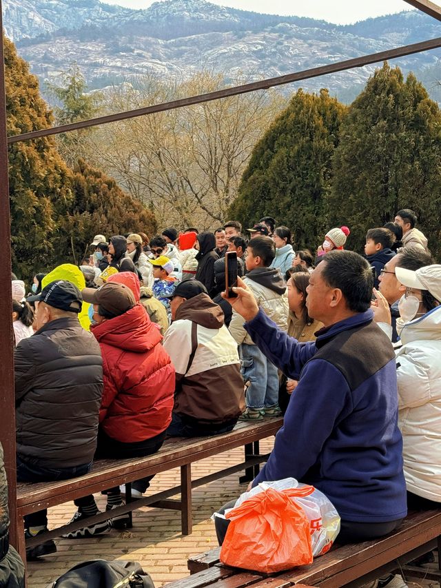青島森林野生動物園 | 交通+遊玩亮點全攻略 ！