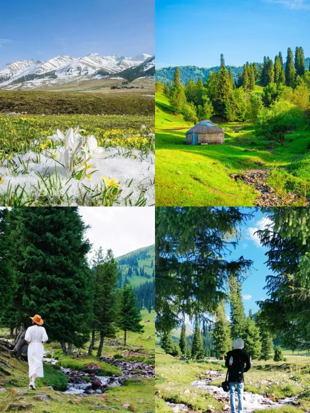 5-Day Apricot Blossom Itinerary in Yili, Xinjiang during April Blossom Season