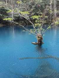 貴州黃果樹-梵淨山-鎮遠6日遊 摘星攻略在此