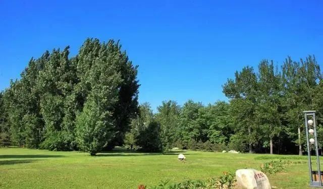 廊坊市自然公園：城市中的綠色寶藏