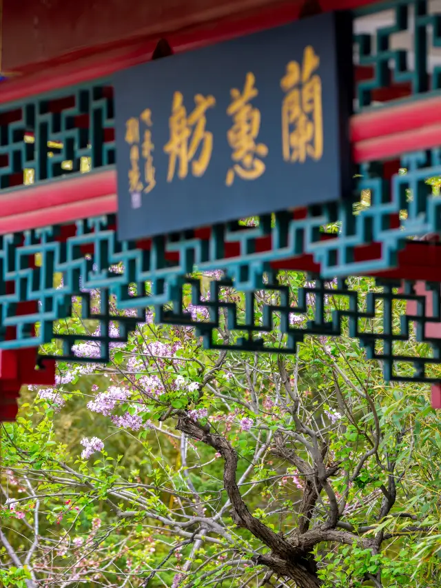 Yantai