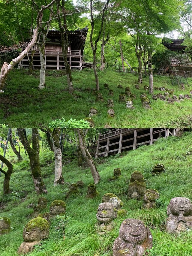 遍地表情包，這大概是京都最可愛的寺廟！