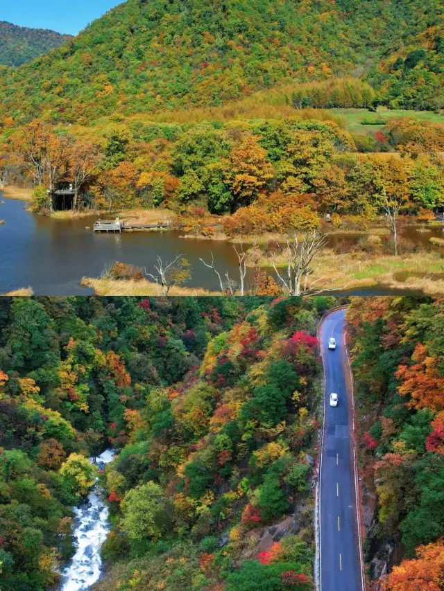 Shennongjia: A Must-Visit Destination.