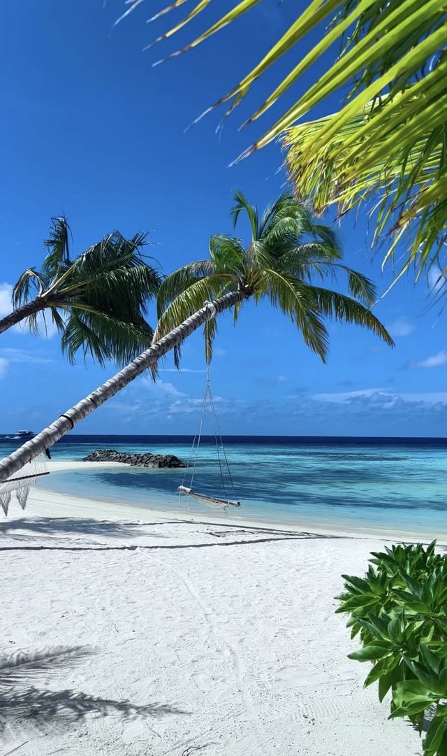丹格迪島：馬爾代夫隱藏的瑰寶，盡享奢華度假天堂！