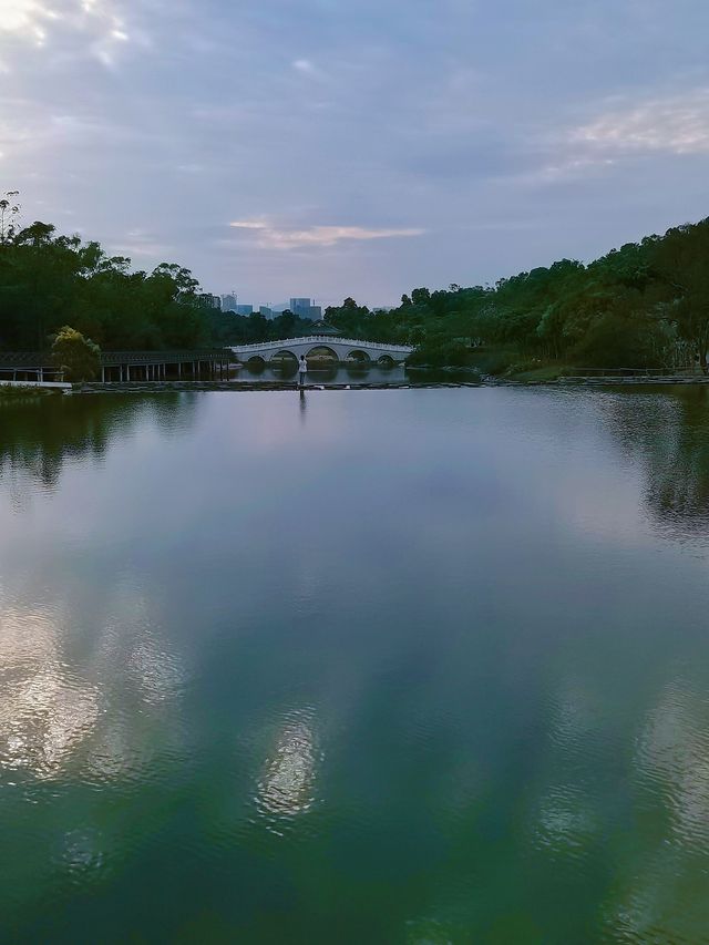 珠海賞花地圖/黃花風鈴木/香山湖公園。