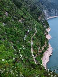 小長假暢遊武漢-宜昌-重慶封神之旅攻略
