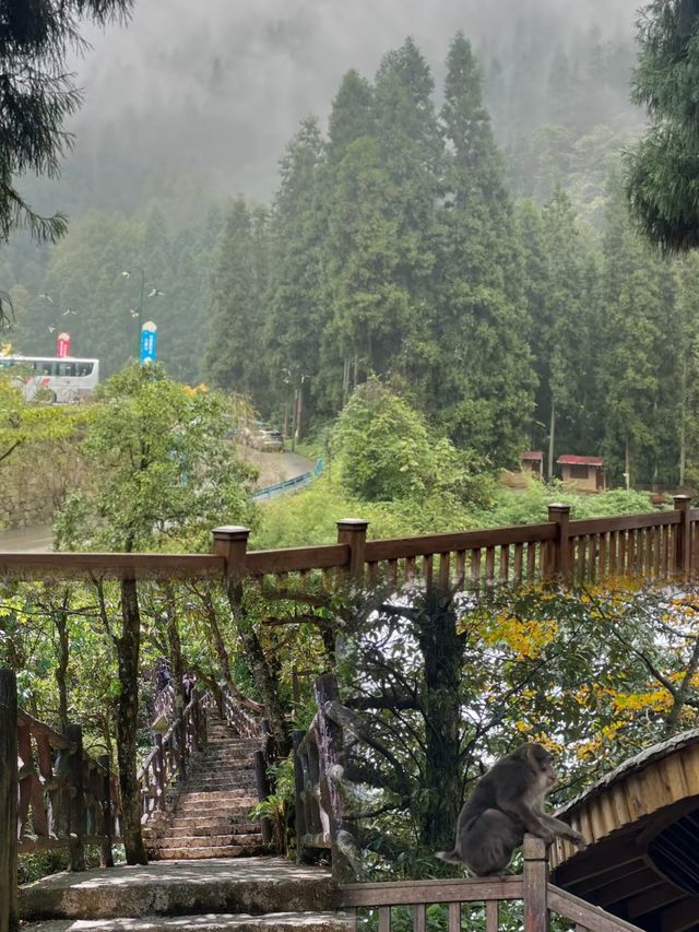 青山綠水間