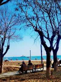 煙台海邊走一走