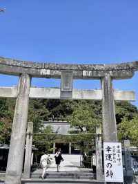 四季流轉，靜觀城市之巔——西公園與大濠公園