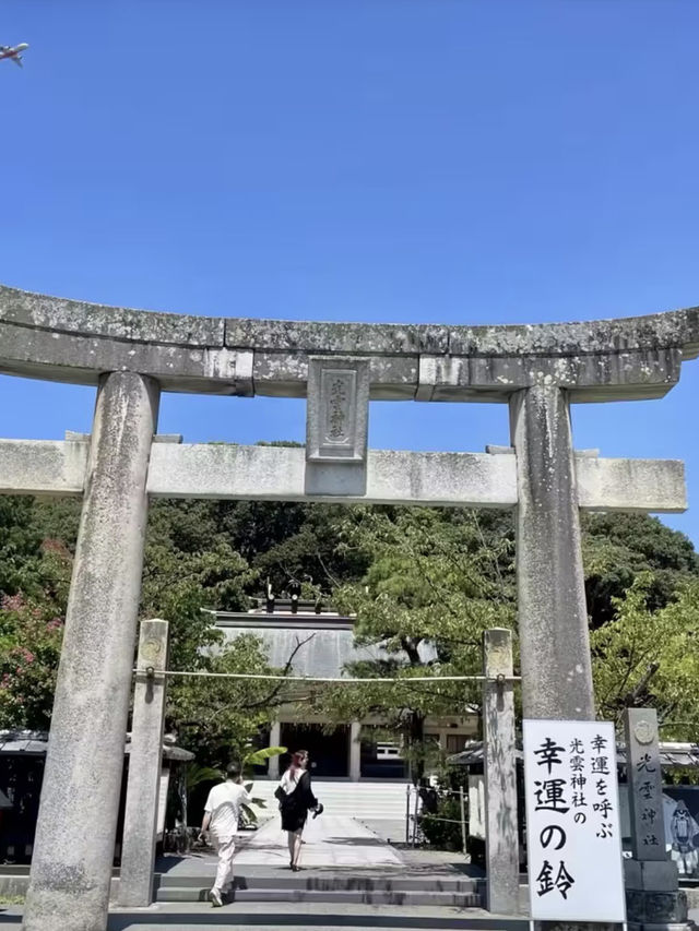 四季流轉，靜觀城市之巔——西公園與大濠公園