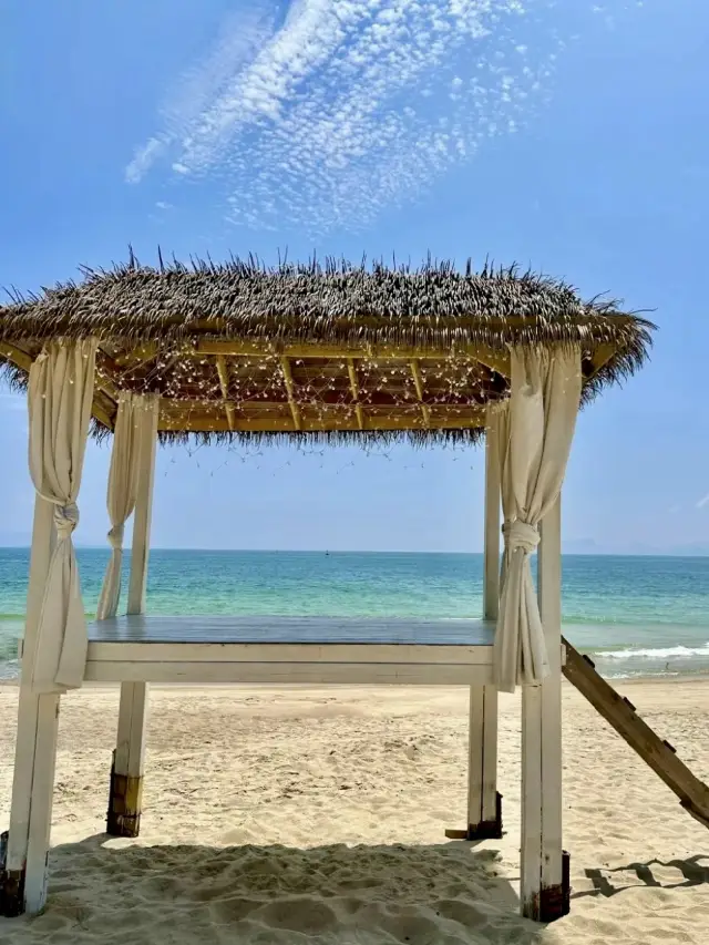 Sea Breeze and Romance—A Stroll Through Rose Coast and Jiaochangwei