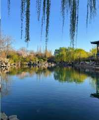 濟南五龍潭公園，靚到突破天際啦！原圖直出嘅春日盛宴
