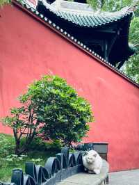 6天橫穿宜昌-重慶超詳細攻略 馬上收藏