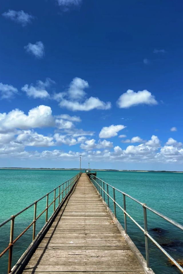 澳洲羅布——赴一場海岸線與龍蝦的浪漫之約