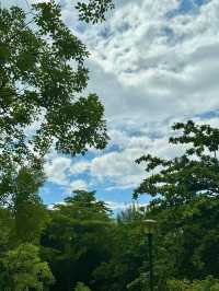 南山公園,超級愜意的深圳城市綠洲✨