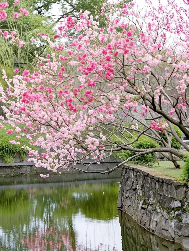 Hidden Gem in Wuxi! Take Your Kids to a Photo-Perfect Classical Garden Like Xishi's