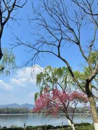 西湖風景名勝區遊玩攻略