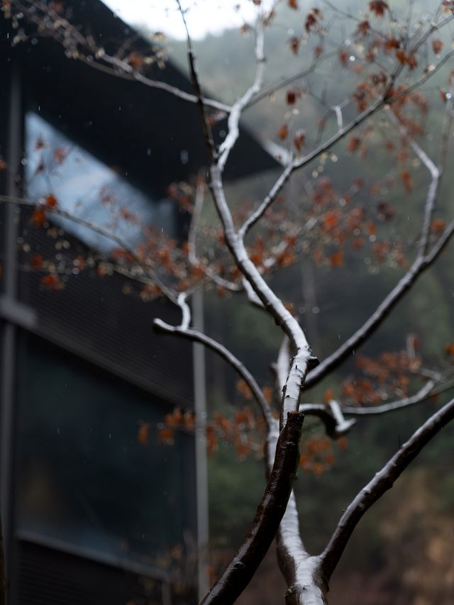 明月松間｜“一場春雨與落花的私奔”