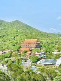 Sky-High Serenity, Sacred Stairways and Mountaintop Views in Hong Kong 