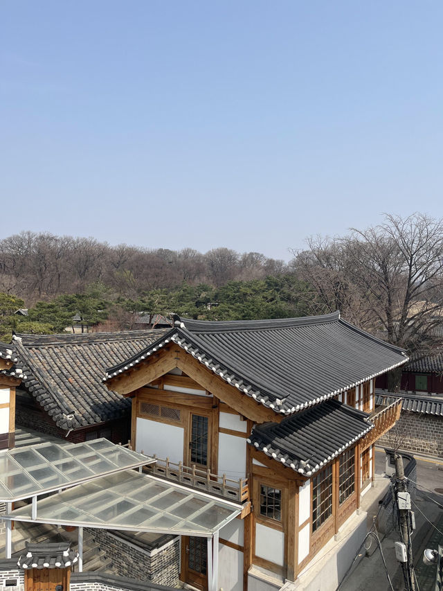 首爾安國站旁！鬧市中的桃源咖啡館