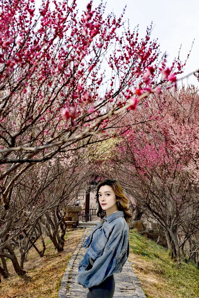 揚州桃花秘境：避開人潮嘅春日小眾玩法