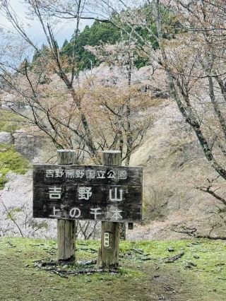 Yoshino-Kumano National Park 🏞️🌸🇯🇵