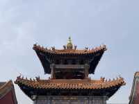 暢遊呼和浩特大昭寺：穿越時空的虔誠之旅