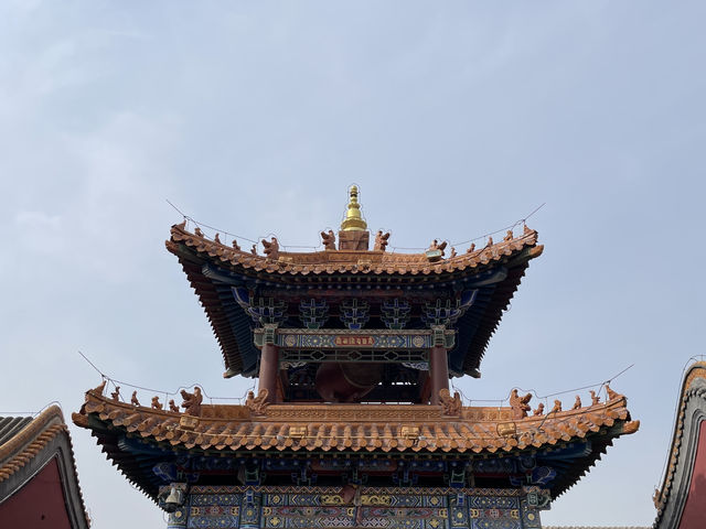 暢遊呼和浩特大昭寺：穿越時空的虔誠之旅